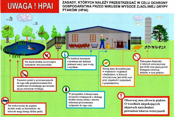 ZASADY, KTÓRYCH NALEŻY PRZESTRZEGAĆ W CELU OCHRONY GOSPODARSTWA PRZED WIRUSEM WYSOCE ZJADLIWEJ GRYPY PTAKÓW (HPAI) images